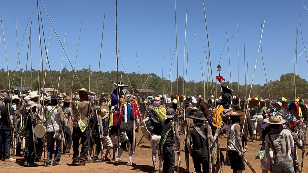 Cultura Naayeri 2024